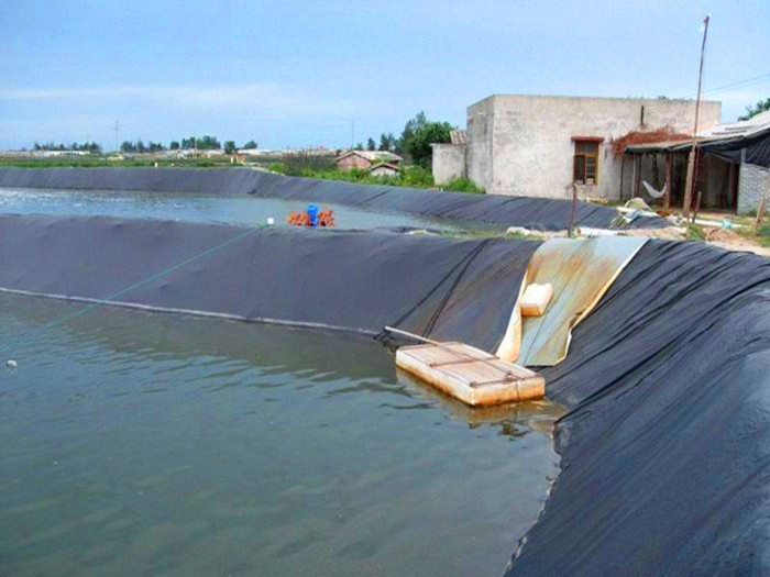 魚塘防滲膜怎樣粘接才能牢固 魚塘防滲膜粘接注意事項(xiàng)