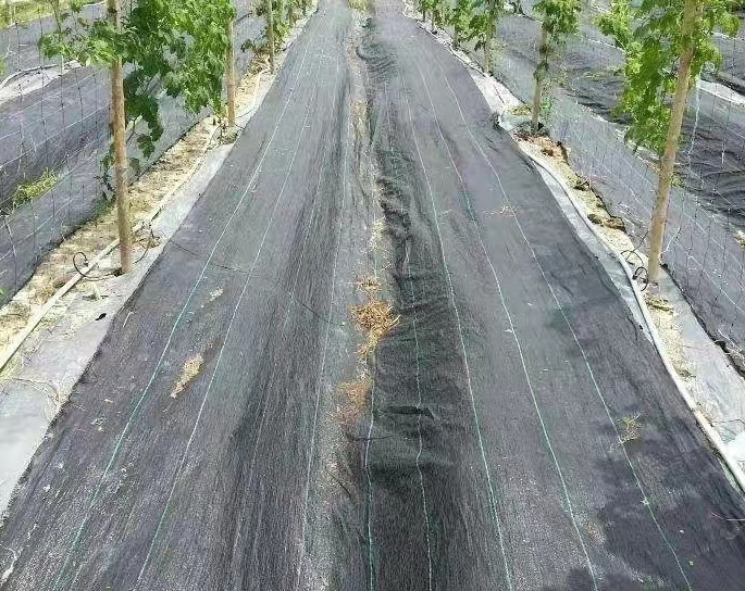 防草布的用途及效果防草布又稱之為“園林地布”、“雜草抑 制席”、“抑草布”，是一種縱橫編織的塑料編織布，透氣性好、滲水快、防水 治雜草生長的一種園藝和農(nóng)業(yè)用地面防草布?？梢杂?效抑制各種雜草的生長，由于這種地面防草布的透氣性好，滲水快，使得植物根部的吸收水分能力得到提高，有益于植物的生長，防止根部腐爛，單相線標志的設置，使的在溫室內(nèi)或室外擺放花盆或安排栽培基質(zhì)時，可根據(jù)標志線來準確進行安排，提高勞